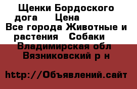 Щенки Бордоского дога.  › Цена ­ 30 000 - Все города Животные и растения » Собаки   . Владимирская обл.,Вязниковский р-н